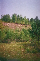10021.JPG (350726 bytes)