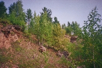 10023.JPG (715077 bytes)
