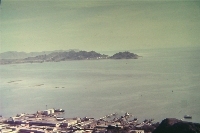 029.JPG (257803 bytes)
