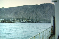 031.JPG (326955 bytes)