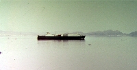 036.JPG (231318 bytes)